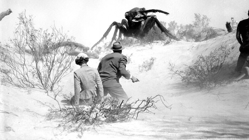 Illustration for article titled Why Were There So Many Giant Insects in the 1950s?